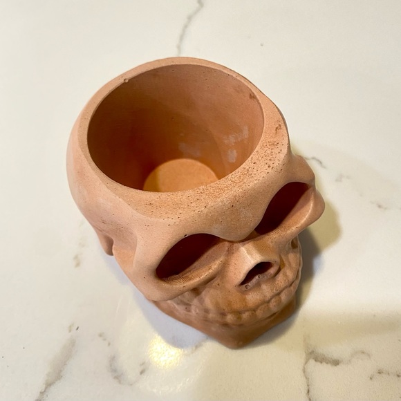 Skull Planter/Organizer - Picture 2 of 7